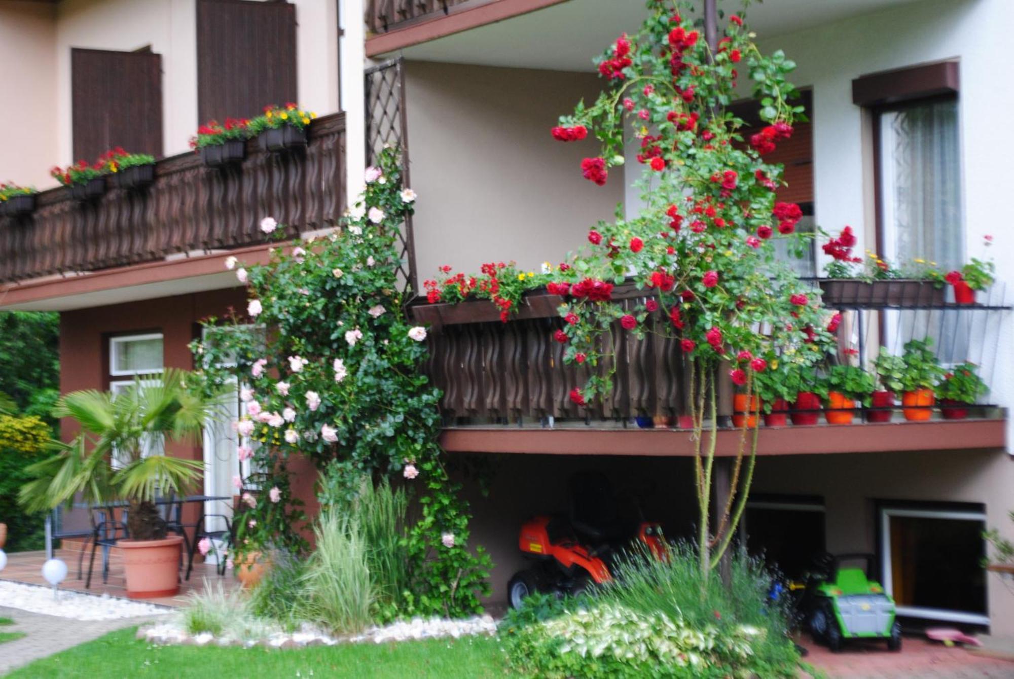 Ferienhaus Michor Latschach ober dem Faakersee Екстериор снимка